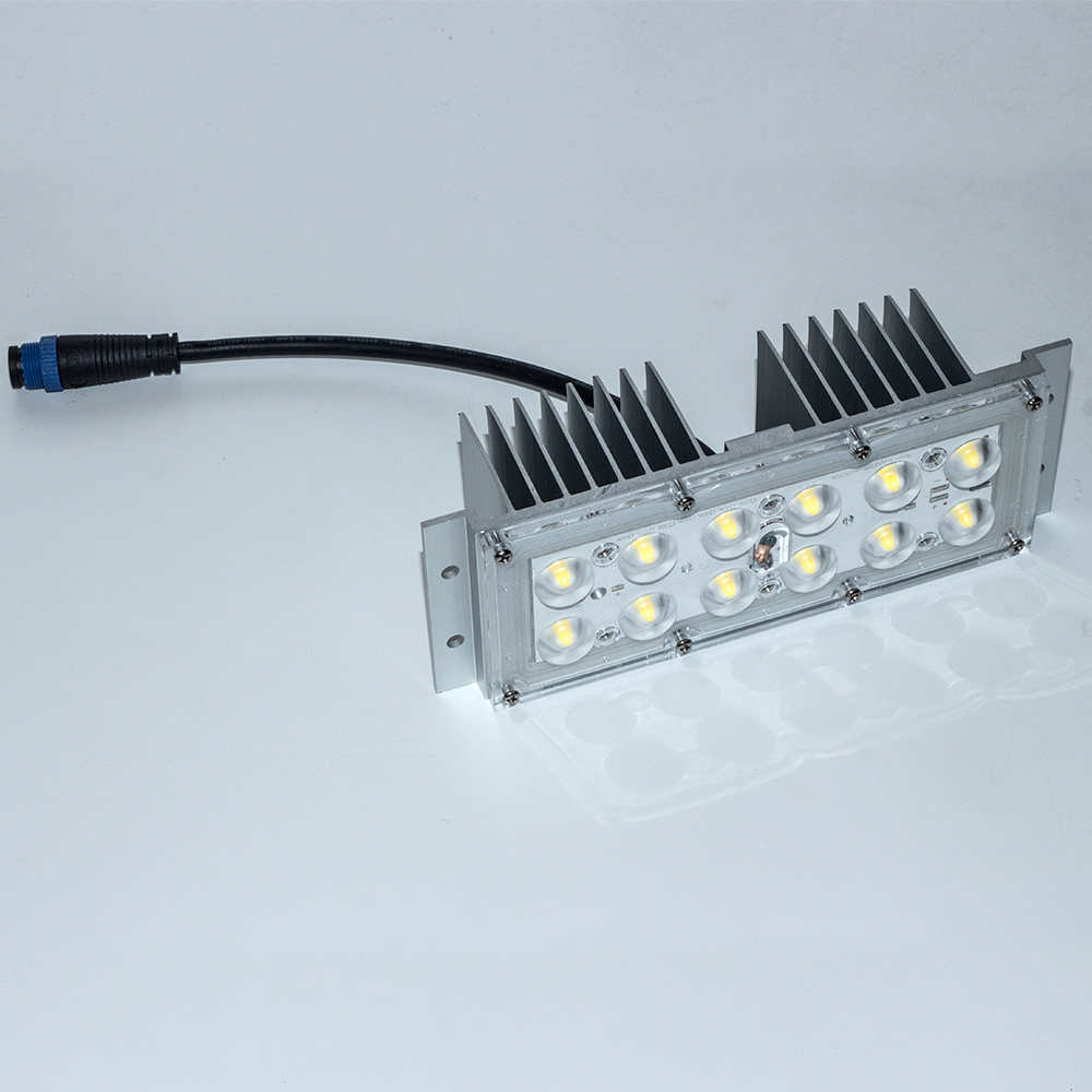 2X6 Lens 20W 30W 35W LED Light Module For Street Lighting Flood Lamp 17800